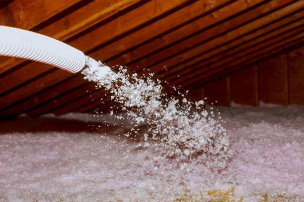 Best Fiberglass Insulation in Bay Pines, FL