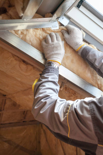 Best Insulation for Specific Applications in Bay Pines, FL