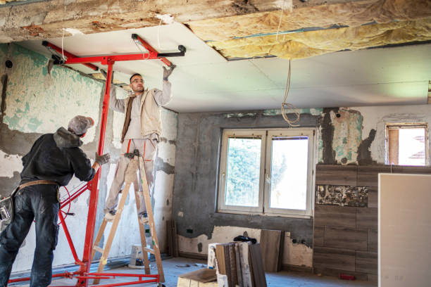 Best Cellulose Insulation in Bay Pines, FL