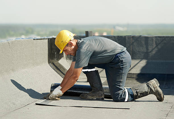 Best Blown-in Insulation in Bay Pines, FL