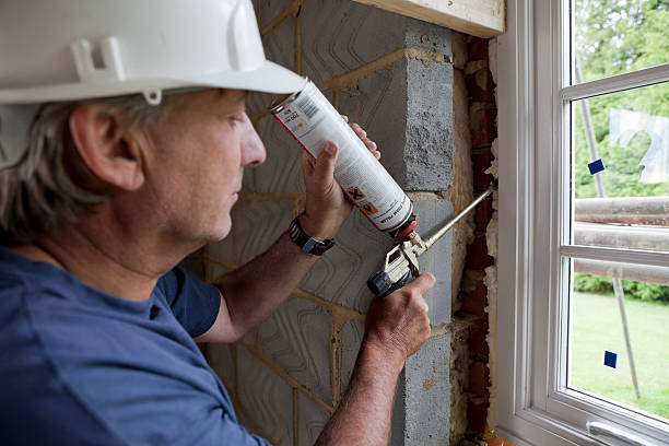 Best Commercial Insulation in Bay Pines, FL