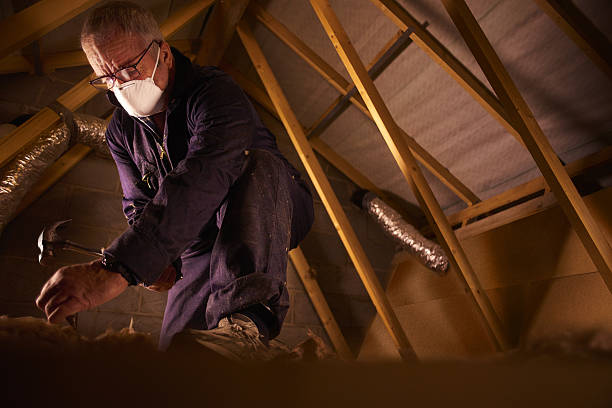 Best DIY Insulation Kits and Guidance in Bay Pines, FL