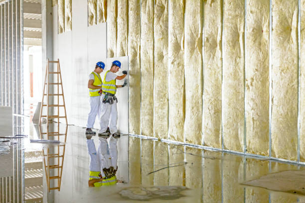 Best Specialized Insulation Services in Bay Pines, FL